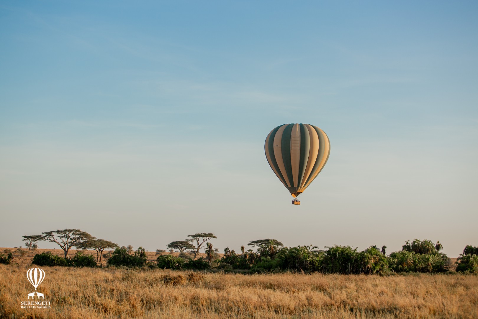 safari-montgolfiere-01 paysage